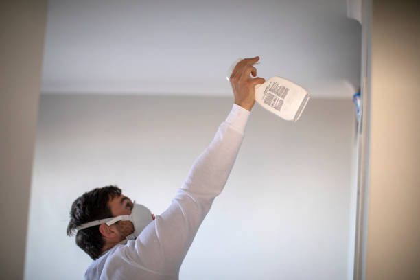 Best Residential Mold Removal  in Berwick, PA
